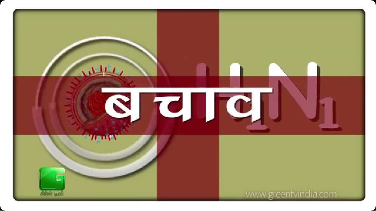 Swine Flu Precautions And Preventions