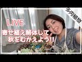 寄せ植え解体Live(カット苗や葉挿し作り)