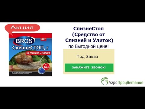 Как избавиться от слизней в огороде - защита и профилактика