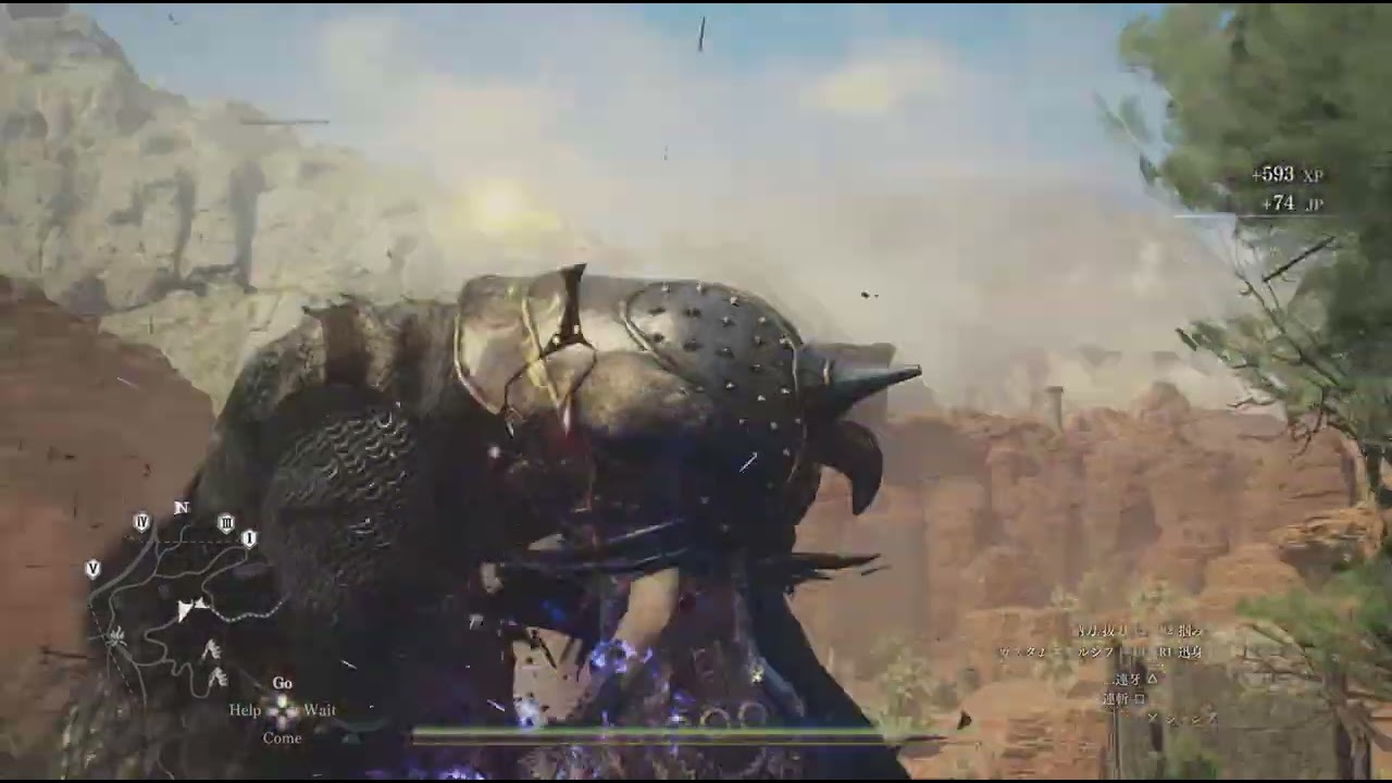 Dragon's Dogma 2_へたっぴ覚者のんびり散歩　#28　※ネタバレあり