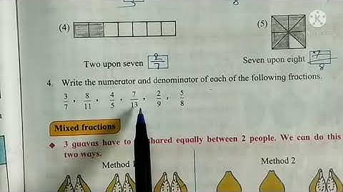 4th Std Maths | Chapter 10 | Fraction | Full Chapter Solved ( State board )