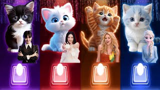 Funny Cats Dance | Wednesday Bloody Mary | Jisoo Flower | Shakira Waka Waka | Elsa Enemy | Cat Songs