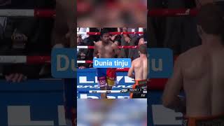 Dunia tinju profesional.