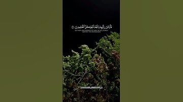 سورة إبراهيم 🧡 #سورة_إبراهيم #خالد_الجليل #القرآن_الكريم #قرآن #quran #fypシ #fyp #islam