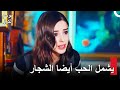 موسم الكرز الحلقة 72   شجار مرهق بين العشاق