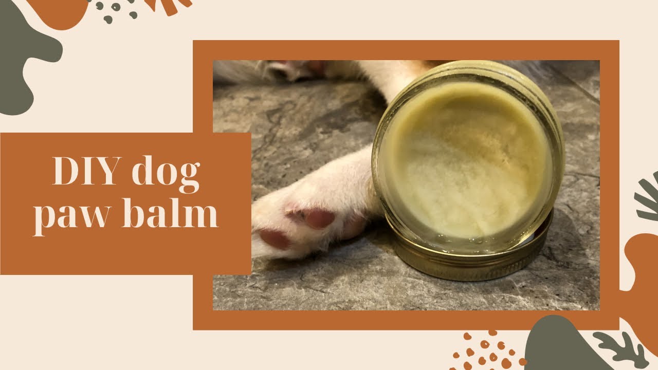 Remedy For Cracked Dog Paws YouTube