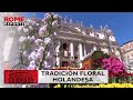 Pascua vaticana y la tradición floral holandesa con más de 35 años de historia
