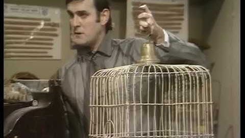 Monty Python - Pet Shop - Dead Parrot