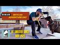 Foster or Adopt this Pittie: CARLOS : SF East Bay, CA | Shelter Dog Adventure Day! #pitbulls