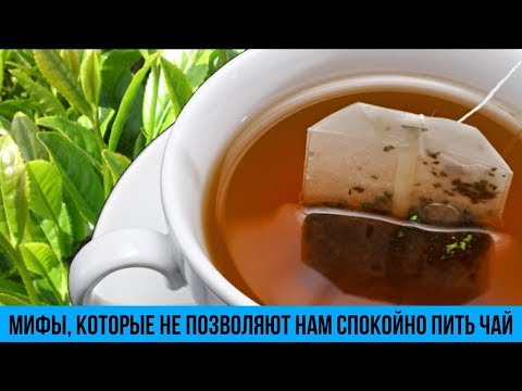 Топ 5 ЧАЙНЫХ мифов которые не позволяют нам спокойно ПИТЬ ЧАЙ Интересные и познавательные факты