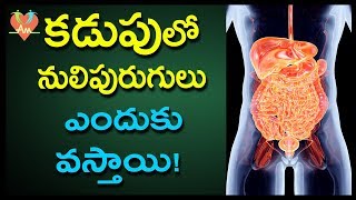 కడుపులో నులిపురుగులు ఎందుకు వస్తాయి! | Causes and Symptoms Of Intestinal Worms | Arogya Mantra