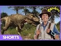 Tyrannosaurus Rex Facts - Andy's Dinosaur Adventures - CBeebies