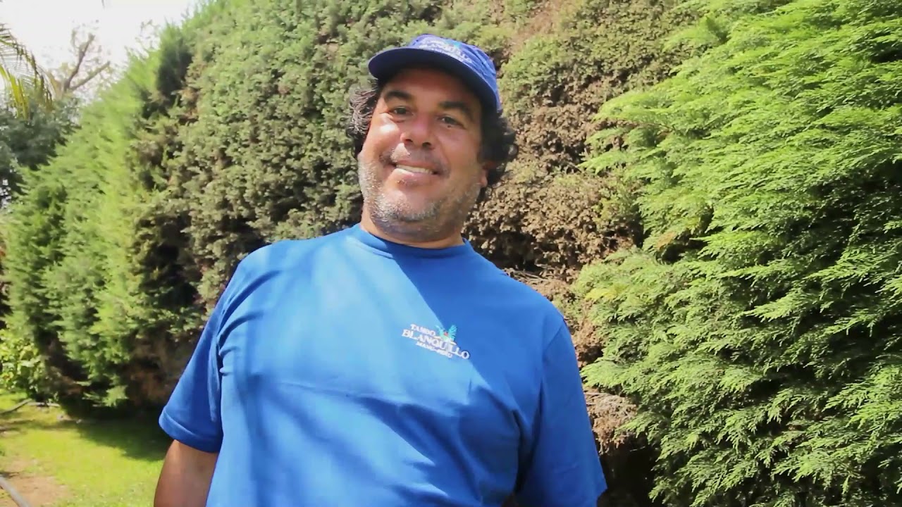 Peru Amazon Wildlife & Birding Tour | Tambo Blanquillo