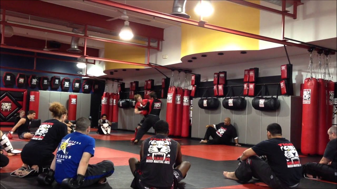 ALEX KESHTOV MMA Experience in USA