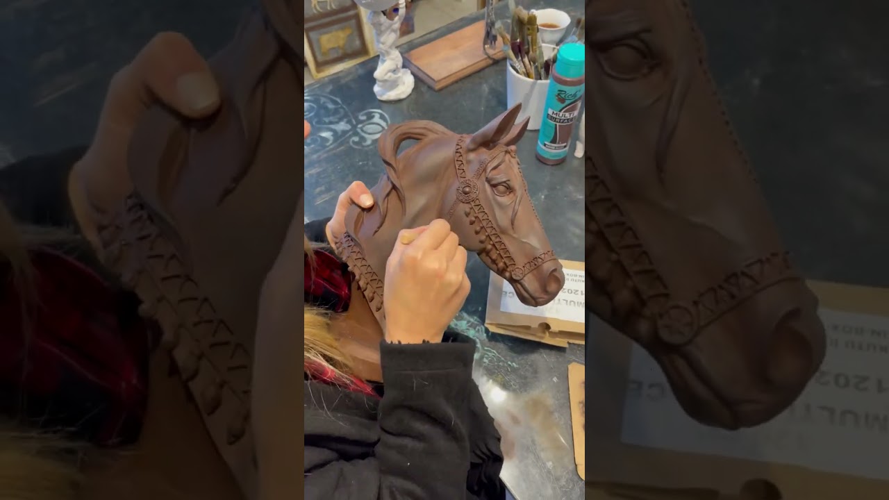 Polyester At Gölgelendirme Boyama