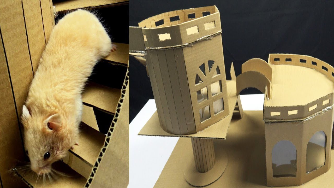 How to Make Amazing Hamster House from Cardboard YouTube