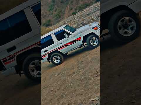 جيب ربع 2023 ماشاءالله تصويري اكسبورر