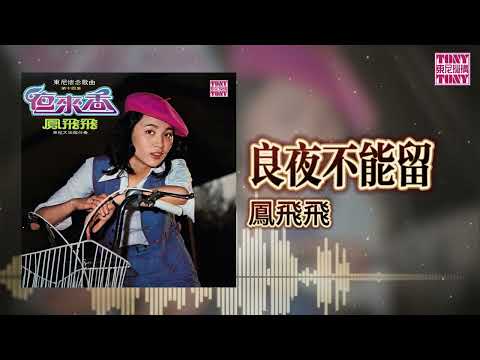 鳳飛飛 - 良夜不能留 ｜東尼機構官方歌詞版｜Official Lyric Video