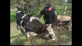 In Honor of Humane Officer Appreciation Week