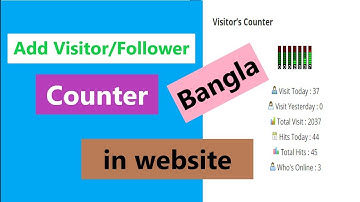 How to add Visitor Counter in Web Site by Mechnic Visitor Counter plugins | Bangla Tutorial