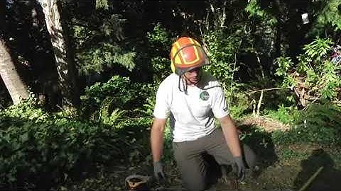 Set up a double rope climbing system