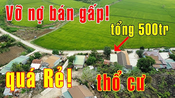 BÁN GẤP tổng 500tr! Bán 522.3m2 đất vườn có nhà cấp 4 cũ 120m2 thổ cư view đẹp giá rẻ ở Đăk Nông