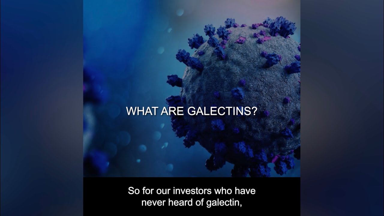 What Are Galectins and What Do They Do?