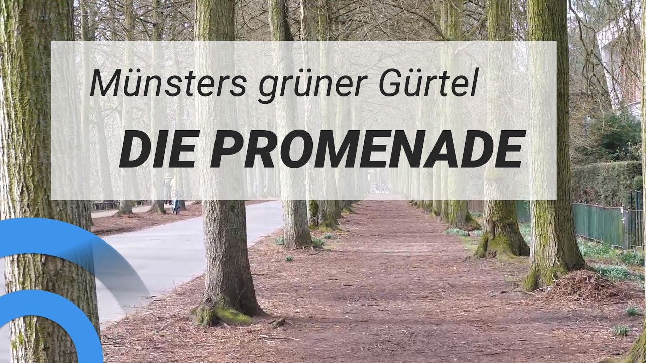 Münsters Promenade | Ostviertel