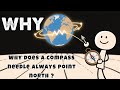 Why does a compass needle always point north ?