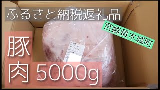 【ふるさと納税】豚肉5000gのブロック肉【宮崎県木城町】