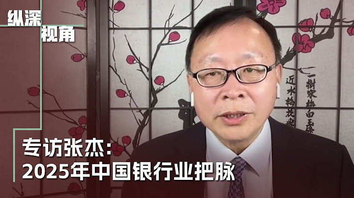 专访张杰：2025年中国金融业的内外挑战