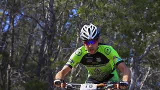 TRANSEBRE 2019