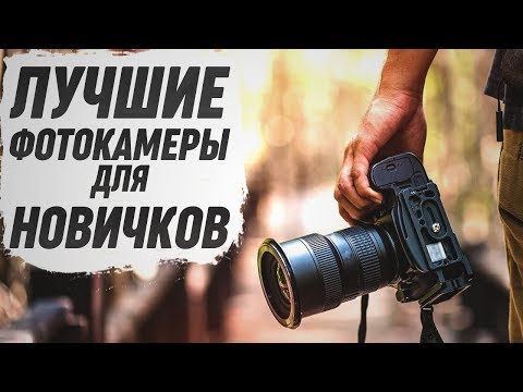 Фотокамеры для новичков: топ-4 модели!