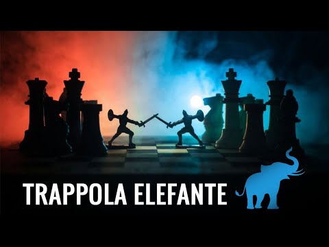 Trappola Elefante: LETALE per il Bianco