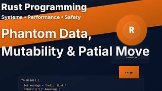 Phantom Data, Mutability and Partial Move in Rust