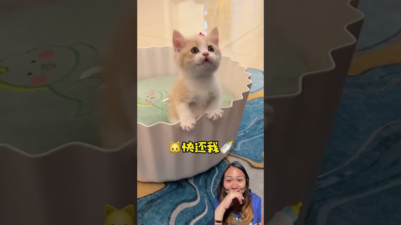 @Youtingcat Pake nyungsep lagi awh 