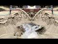 Unloading sand boat work!! sand boat 35T load/unloading power boat for sale|