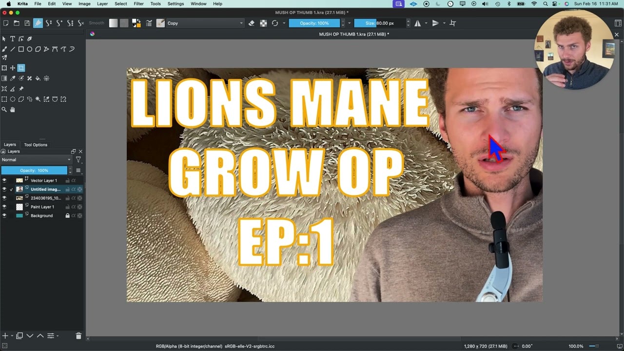How to Crop a Single Layer in Krita (Quick & Easy Tutorial)