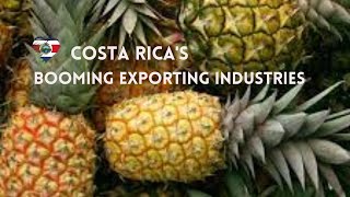 Costa Rica's Booming Global Exporting Industries in 2022 and Beyond!