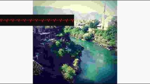 Reproduction Traffic   Decisive   lyceblceav