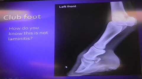 Equine Musculoskeletal  Angular limb, Flexural limb deformities 4