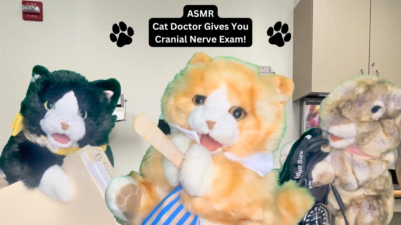 ASMR Roleplay Cat Gives You Cranial Nerve Exam Personal Attention Layered Sounds