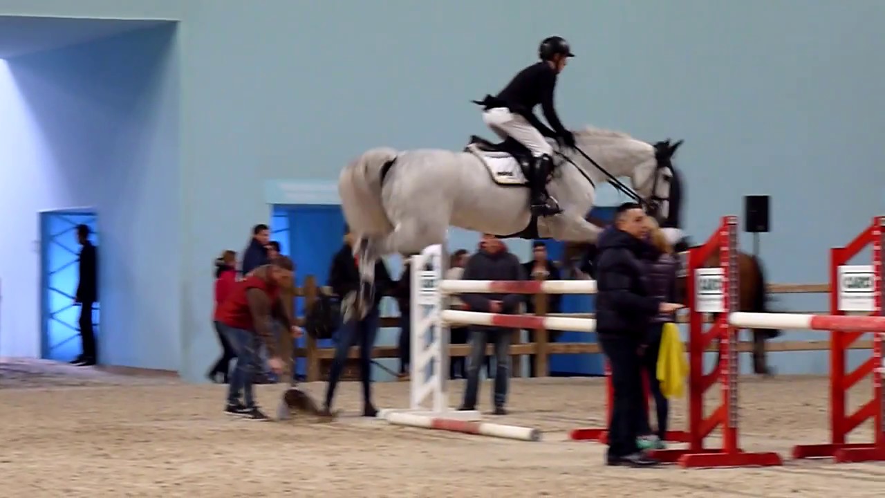 Paddock, Marcus Ehning and others, Jumping Saut Hermès 2018