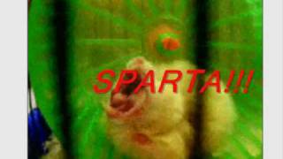 This IS Sparta!! The Hamster-Edition