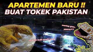 Dari Gubuk Derita Sampai Apartemen Ganti Kulit Kok Dimakan Semua Youtube