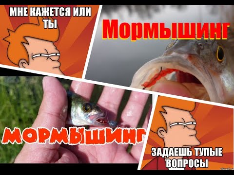 Мормышинг. Ответы на тупые вопросы!