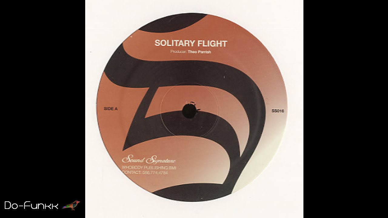 Theo Parrish - Solitary Flight - YouTube