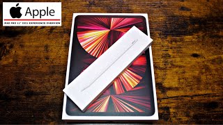 Apple iPad Pro 11" 2021 Experience Overview