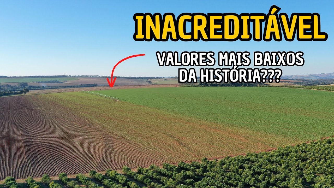 Valor De Pivo Central Atualizado E Plano Safra 24-25 Parte I