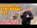 Көчөттүн ЗОРУ сатылып жатат